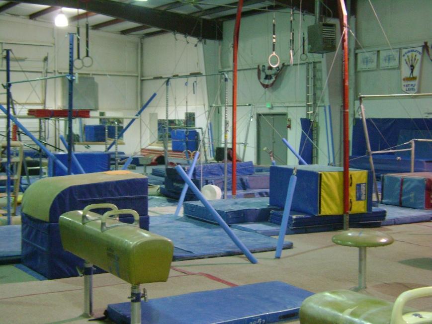 Zenith Gymnastics Summer Camp photo 1