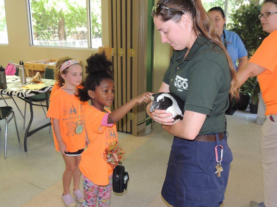 Zoofari Day Camp photo 1