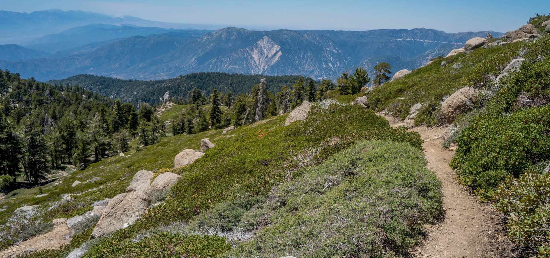 Angelus Oaks Basketball Camps