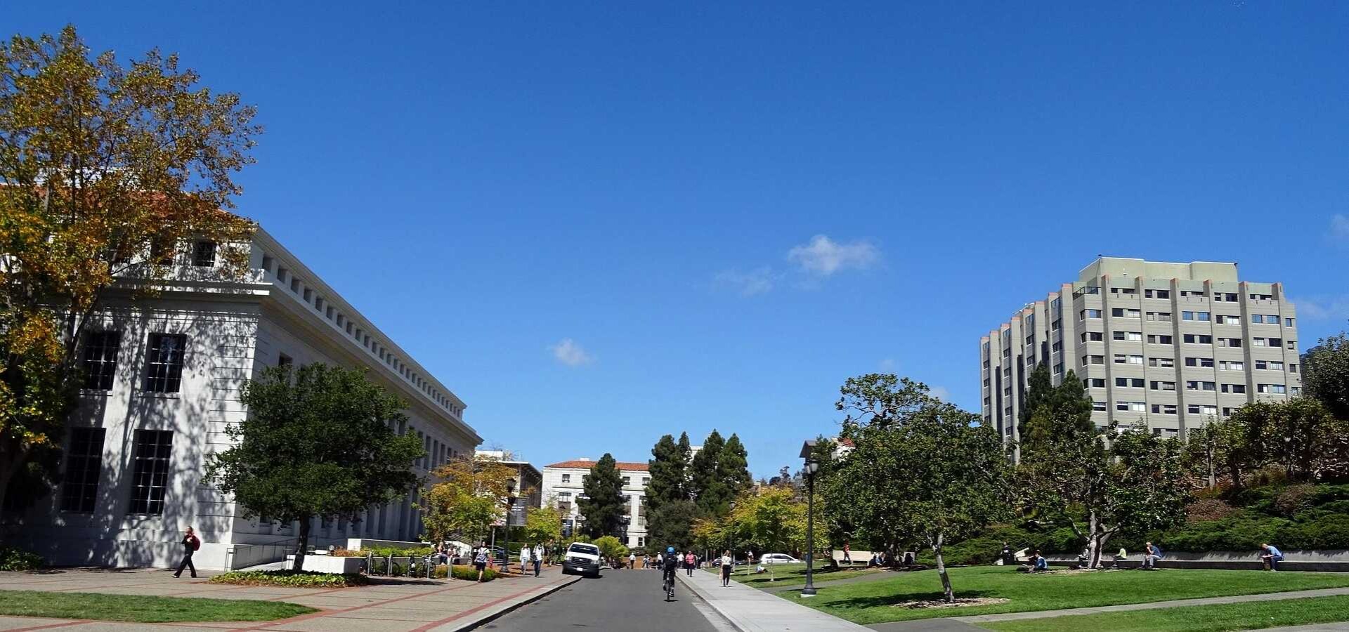 Berkeley Web Design Camps