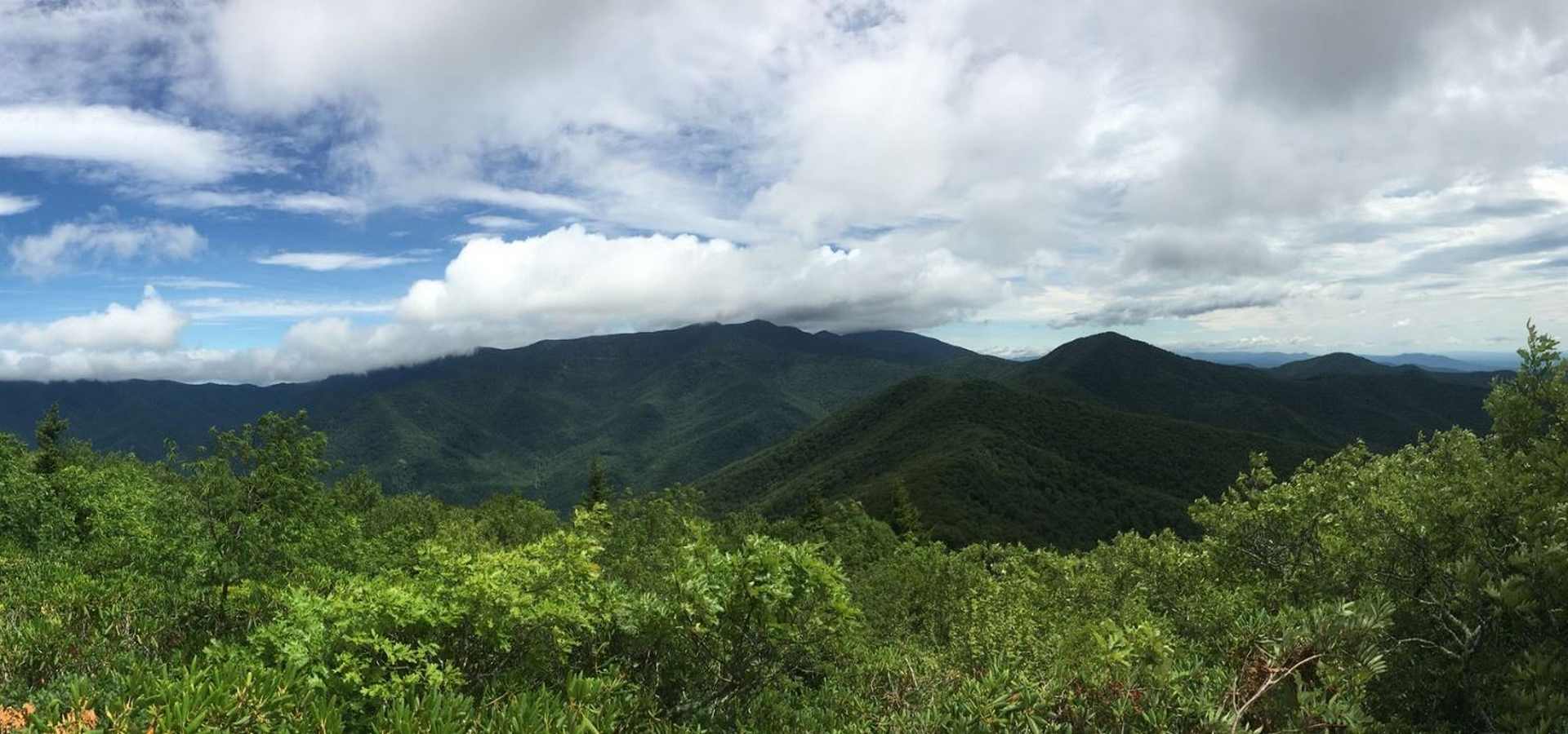Black Mountain Volleyball Camps