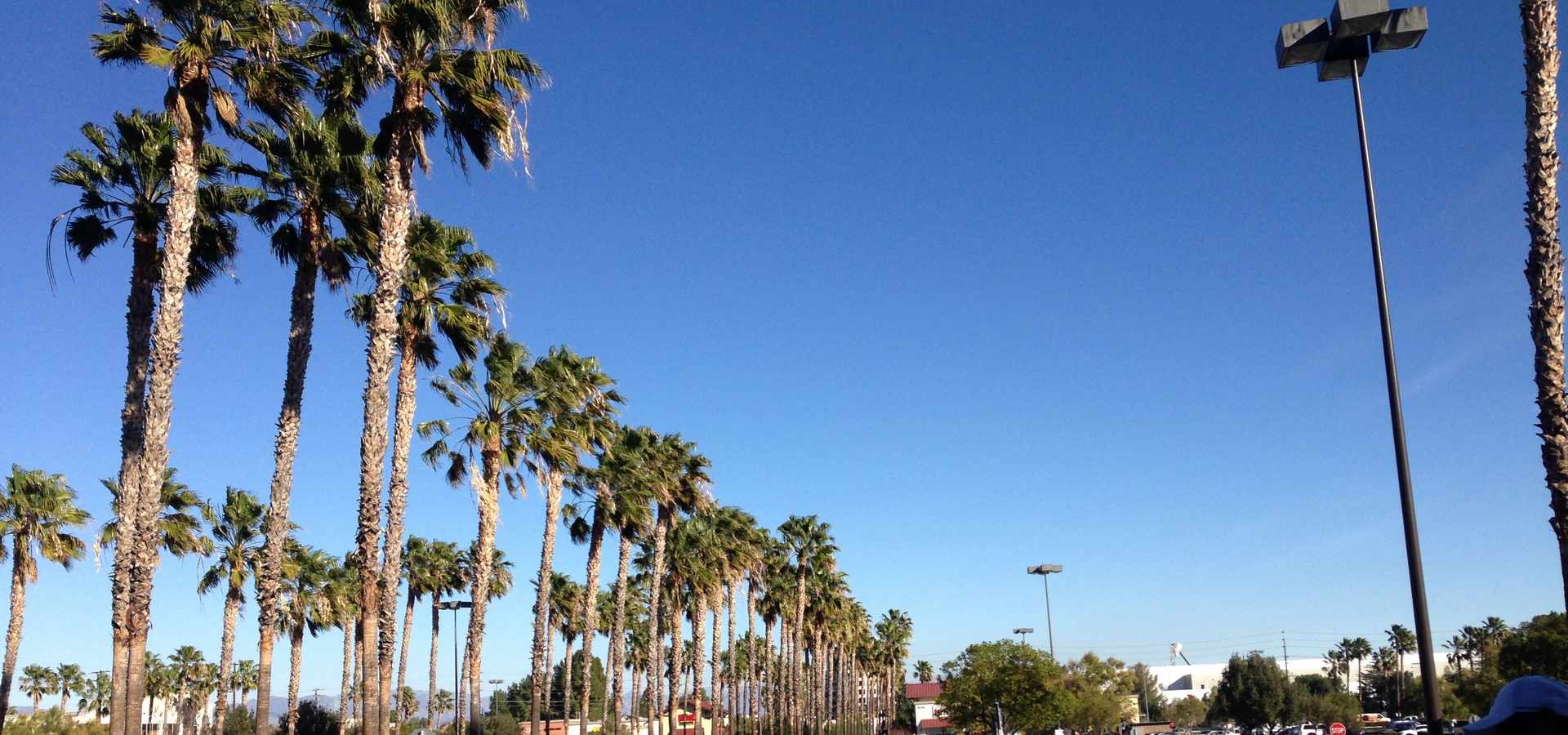 Chatsworth, LA Youth Summer Camps (12-14)