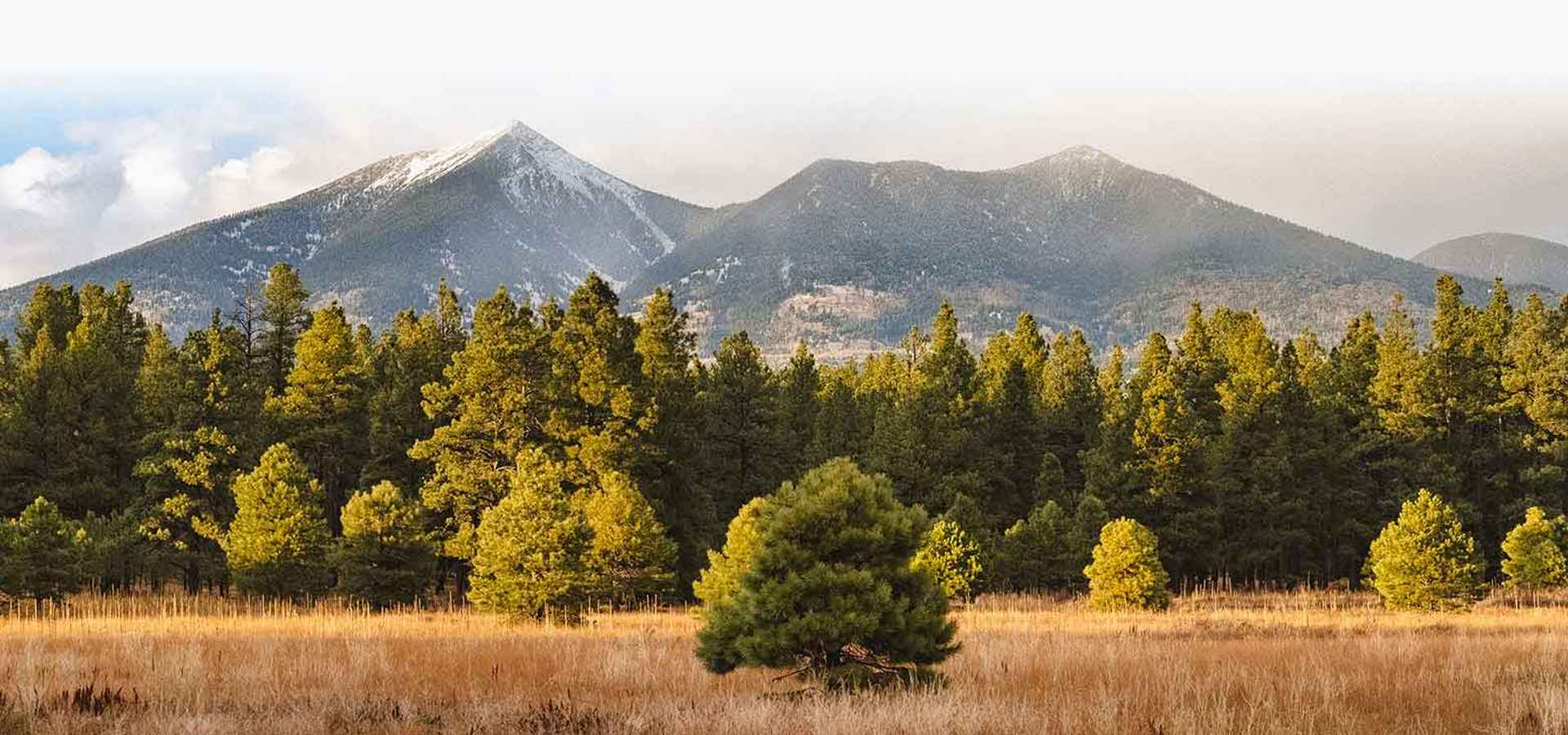 Flagstaff Overnight Camps