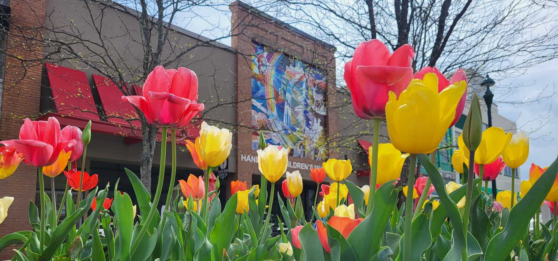 Hendersonville Canoeing Camps