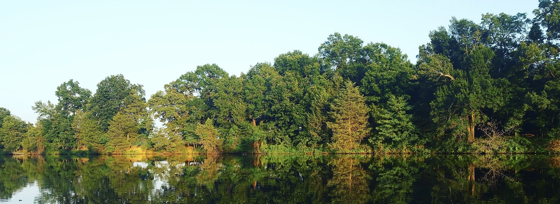 Paddleboarding Camps