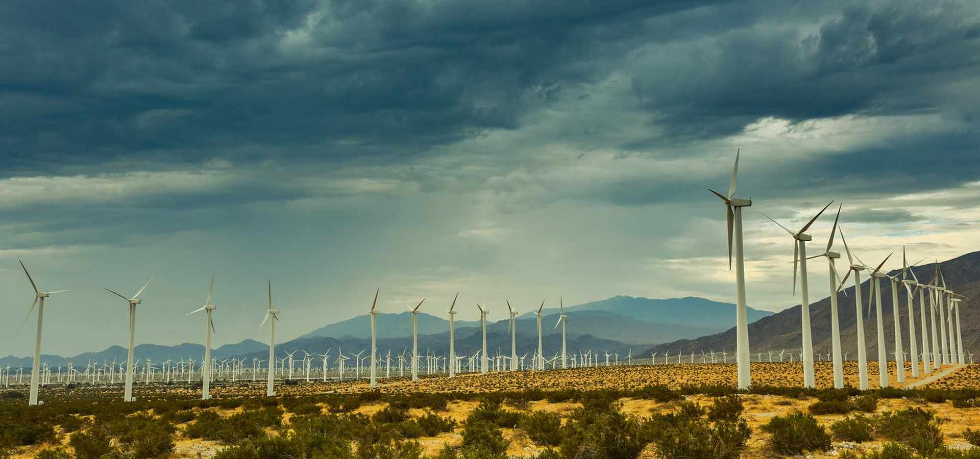 Riverside Summer Camps for 5-Year-Olds