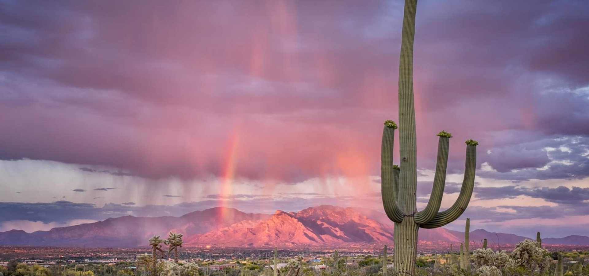 Tucson Summer Camps for 17-Year-Olds