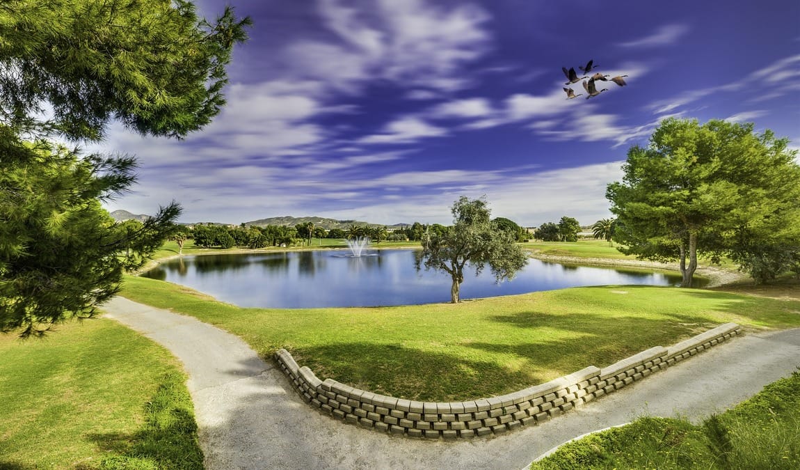 alicante in august photo 5