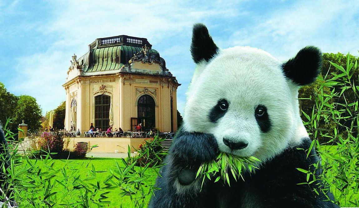 13 interesting facts about vienna photo 6