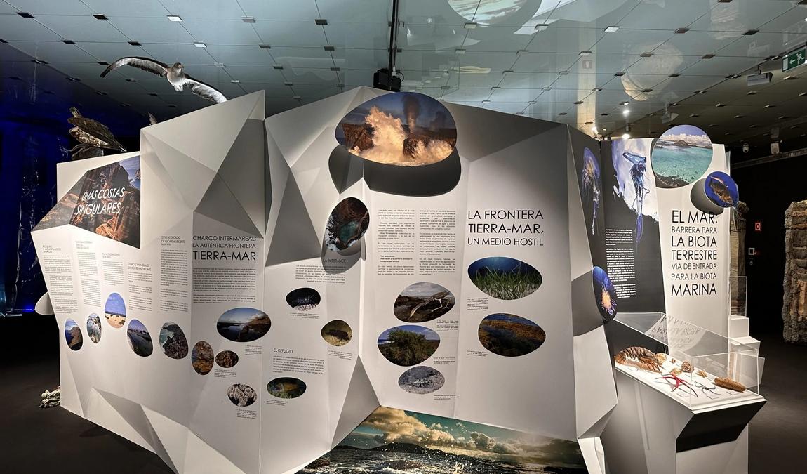 tenerife in may photo 4