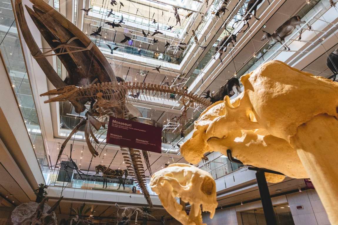 10 best science museums in europe photo 9