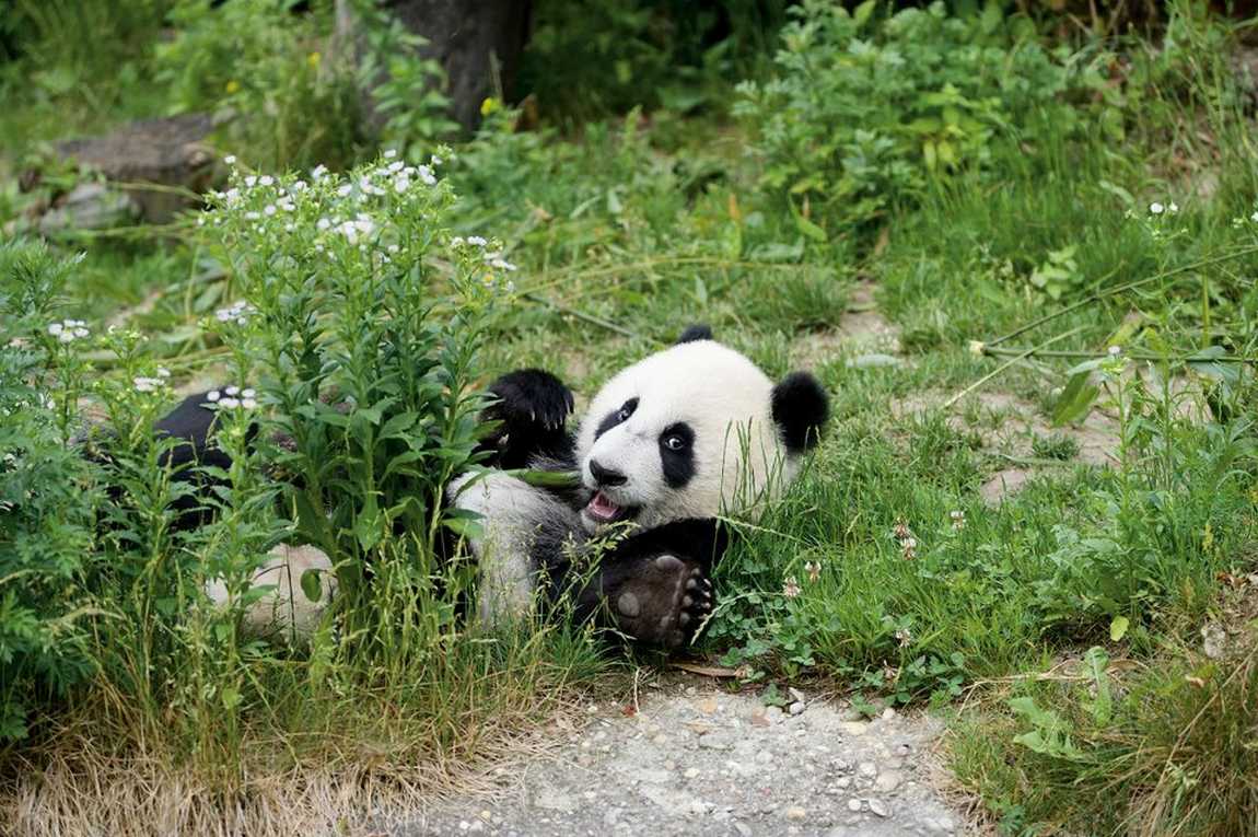 10 best zoos to visit with your kids in europe photo 3