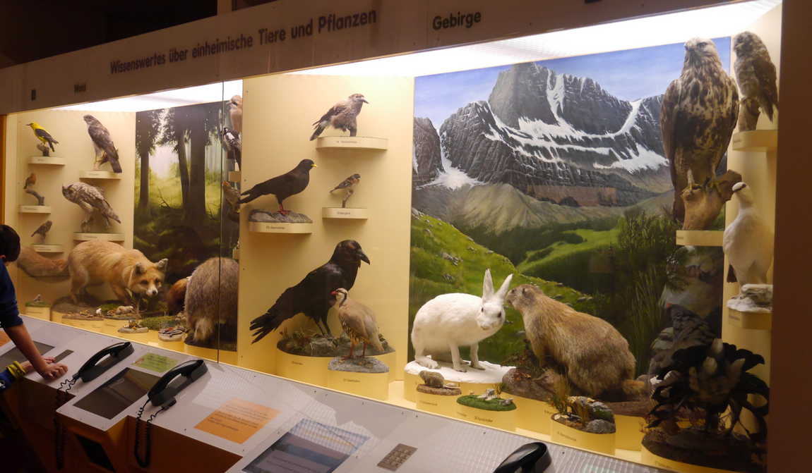 best places to visit in munich with kids in 5 days: your itinerary photo 5