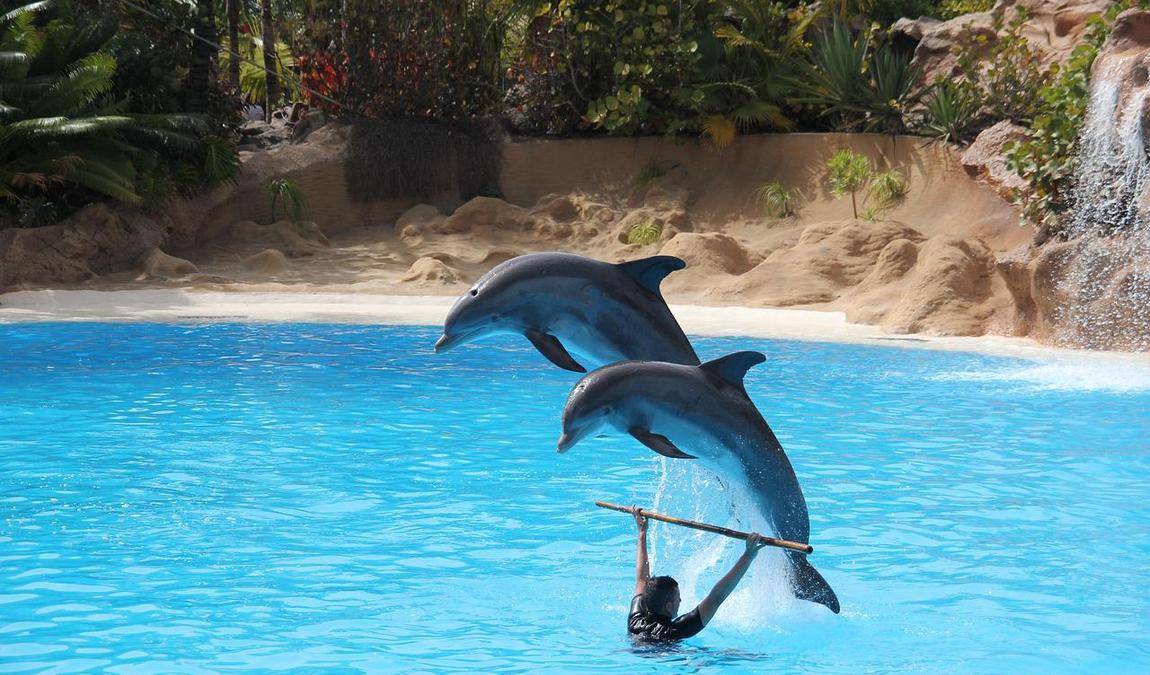 tenerife in february photo 7