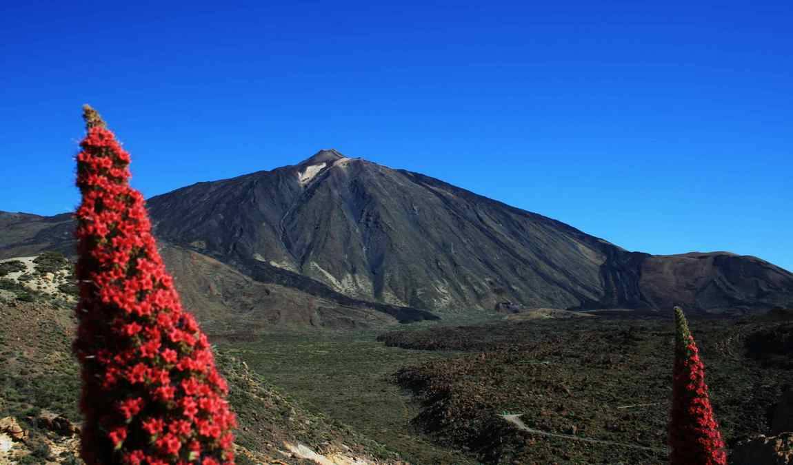 tenerife in march photo 3