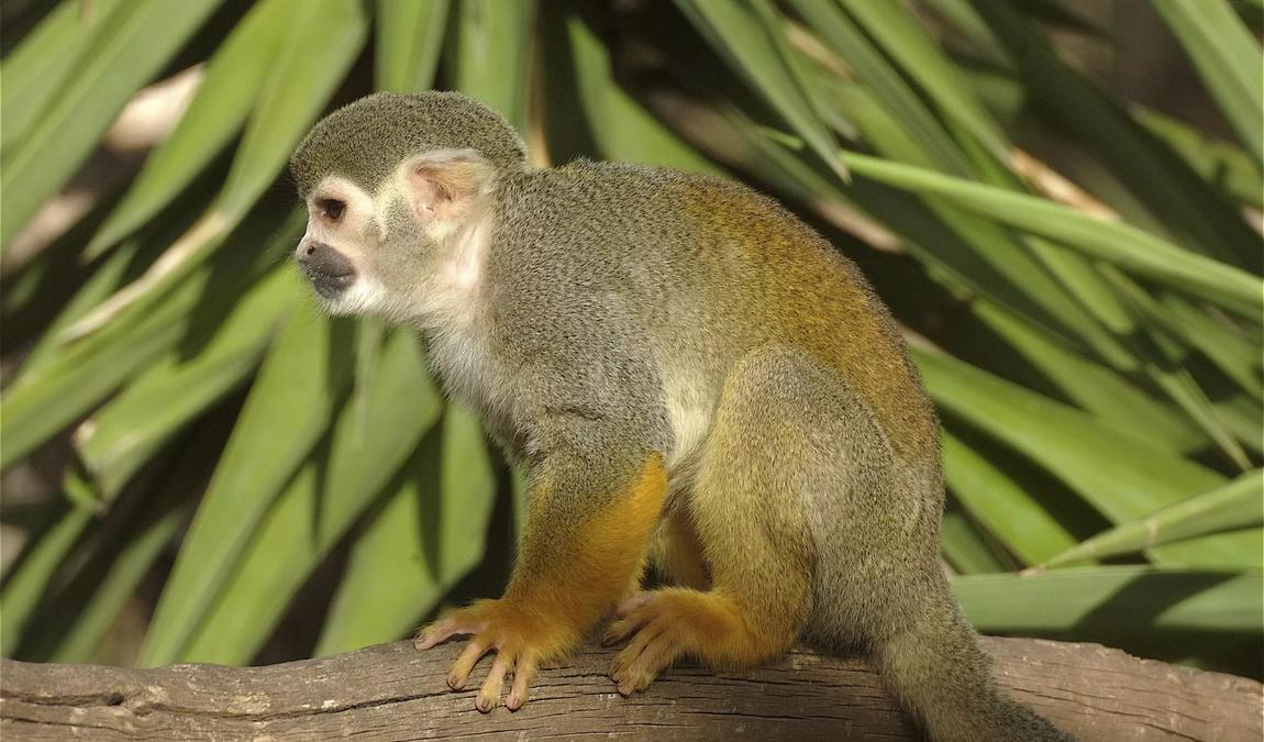 tenerife in june photo 4