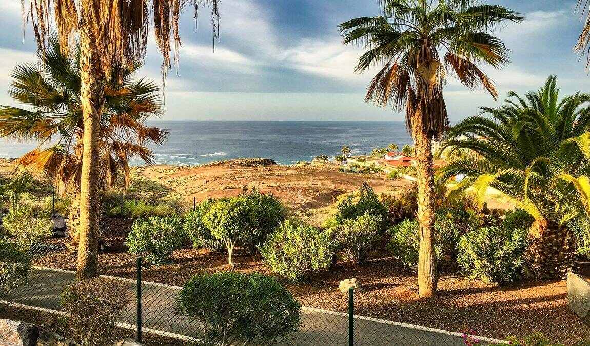 tenerife in august photo 7