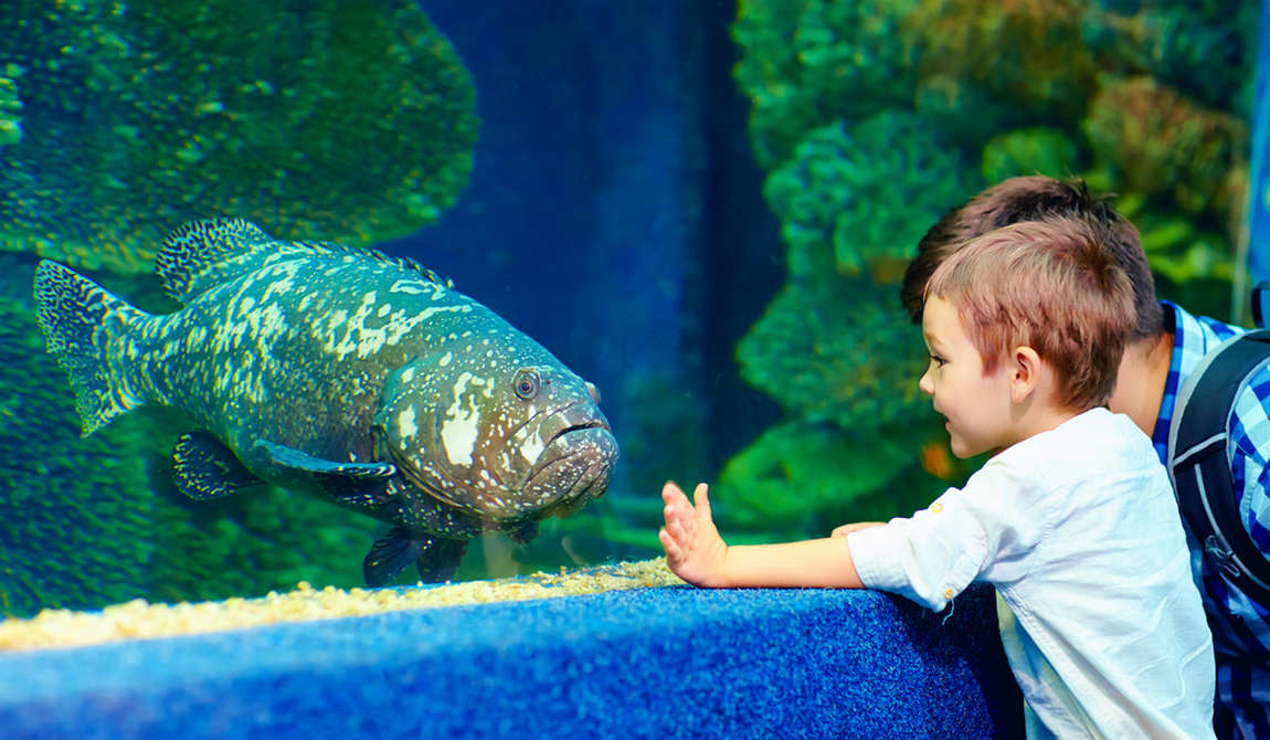 best places to visit in düsseldorf with kids in 5 days: your itinerary photo 7