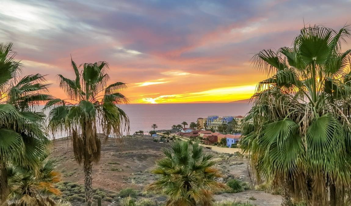 tenerife in march photo 6