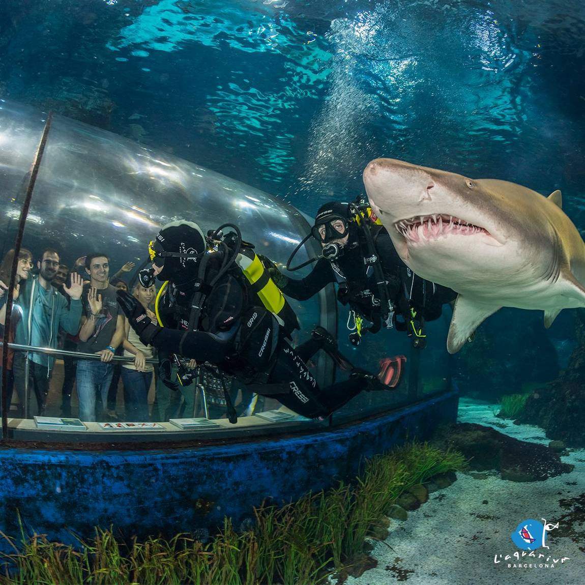 the best aquariums in the world photo 4