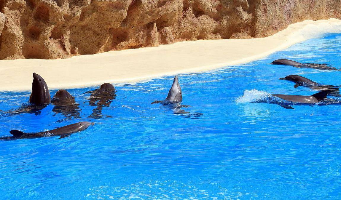 tenerife in january photo 6