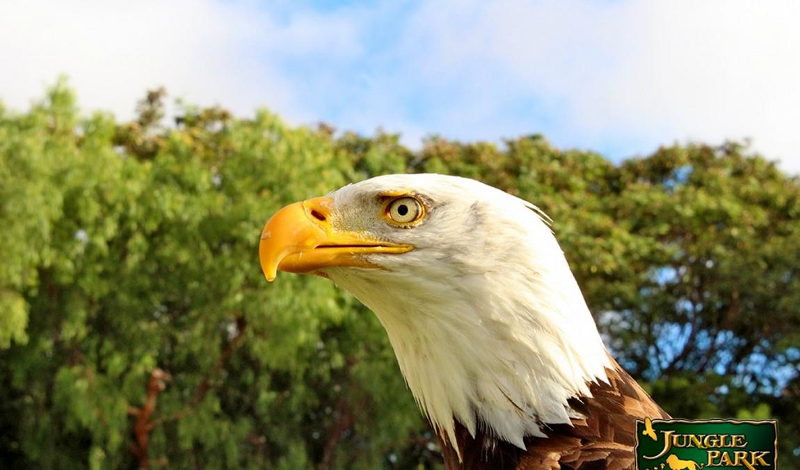 tenerife in april photo 5
