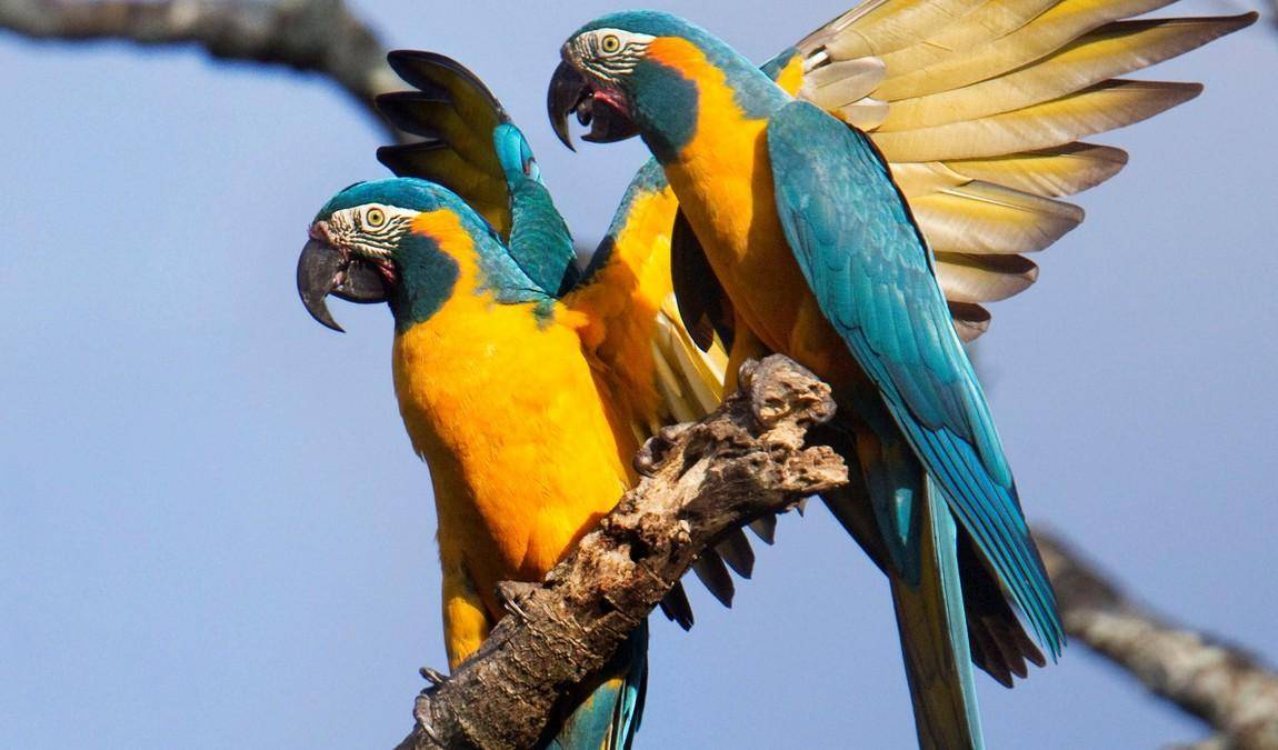 tenerife in august photo 5