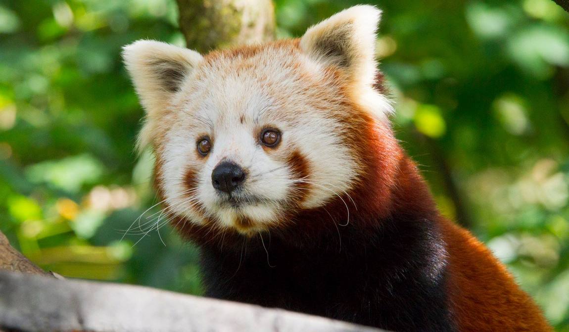 best places to visit in salzburg with kids in 7 days: your itinerary photo 6