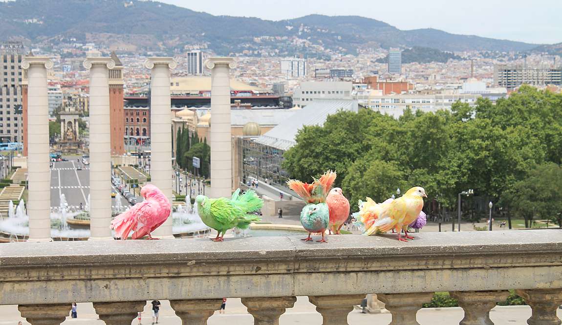 barcelona in march photo 1