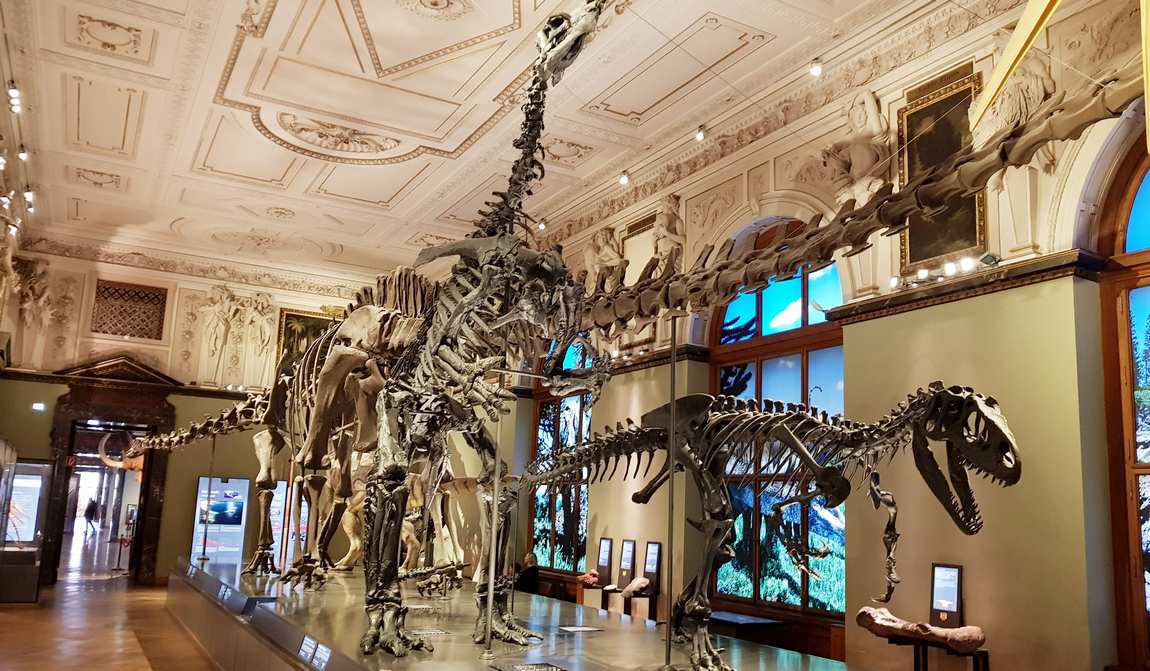 best places to visit in vienna with kids in 7 days: your itinerary photo 11