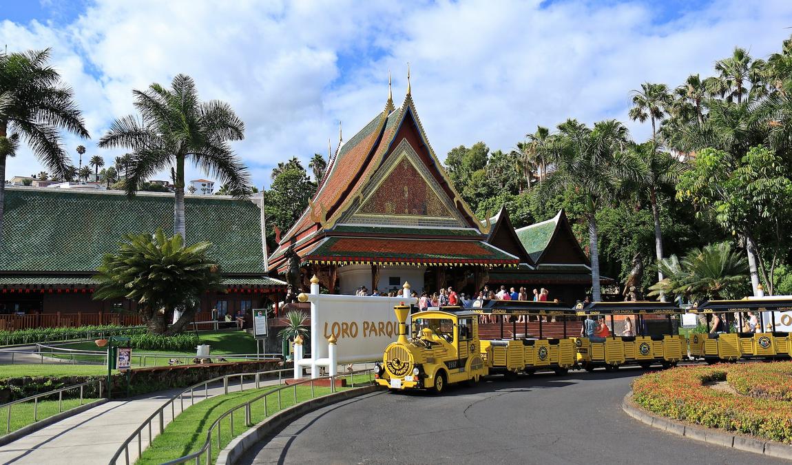 tenerife in may photo 7