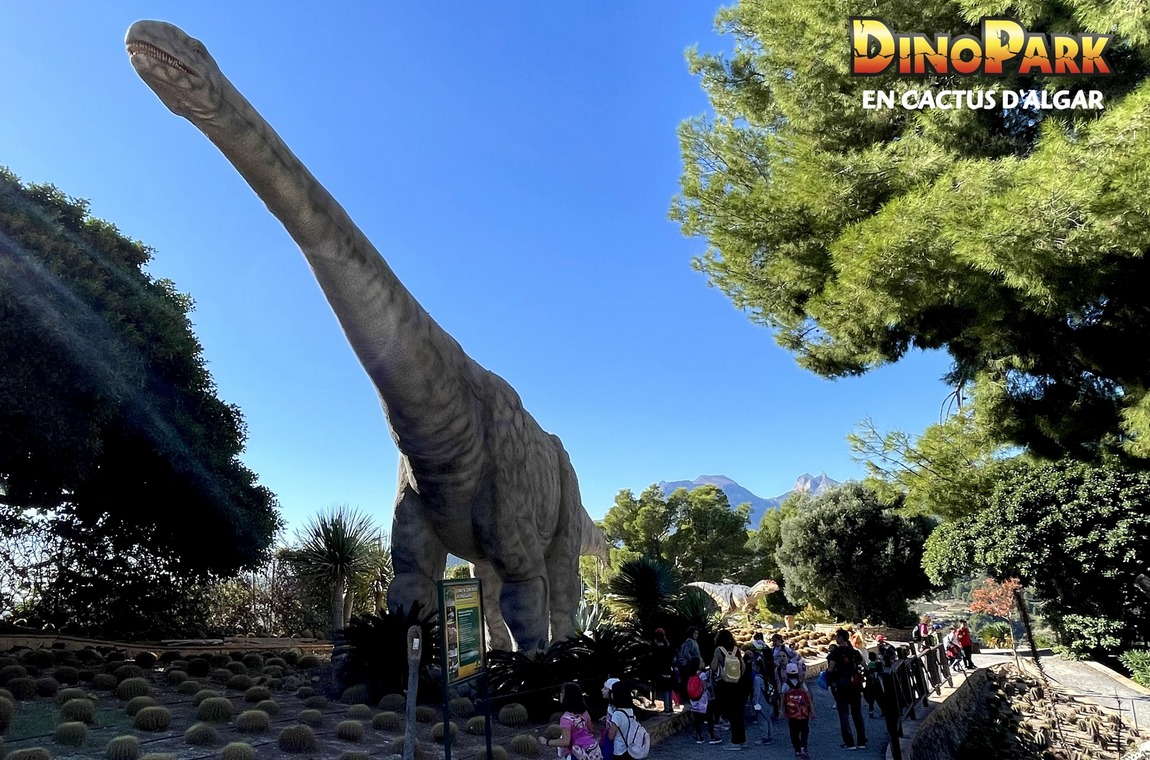 alicante in october photo 5