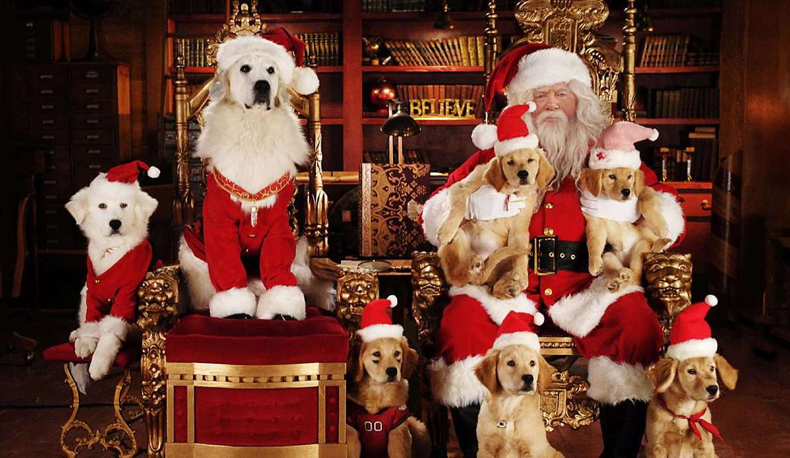 25 best family christmas movies of all time  photo 13