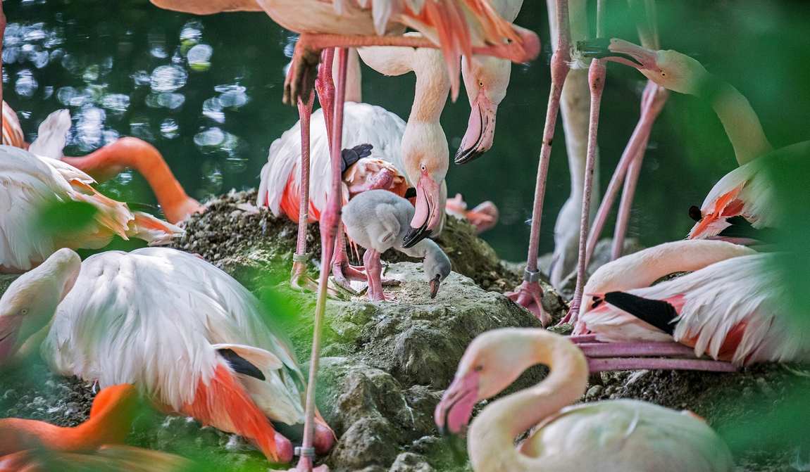 best places to visit in munich with kids in 5 days: your itinerary photo 11