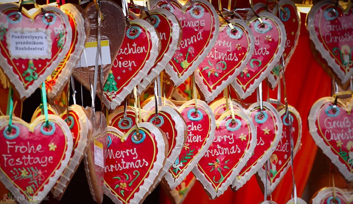 vienna in december photo 3