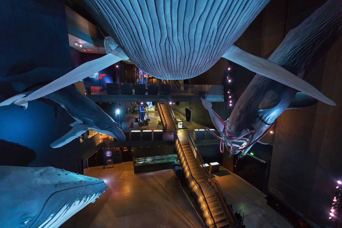 the best aquariums in the world photo 6