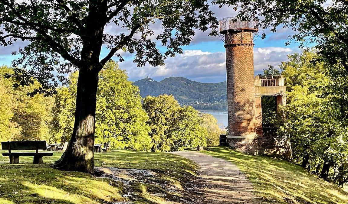 forest and wildpark rolandseck photo 2