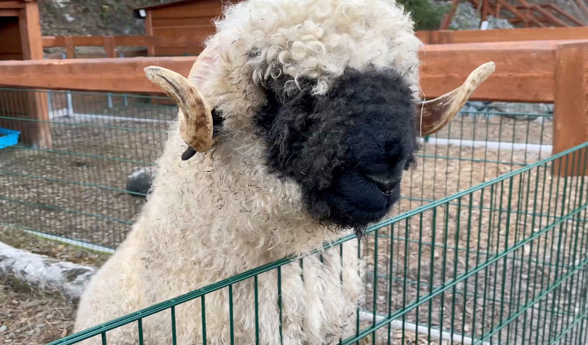 farmapark u toma photo 2