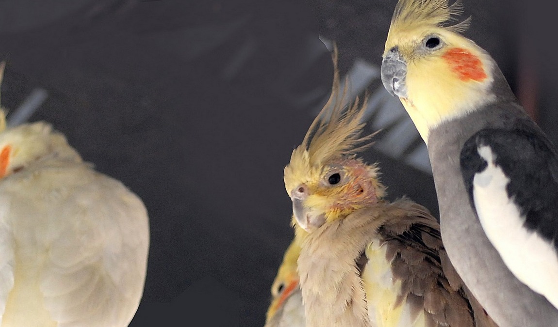 protur natura farm photo 2