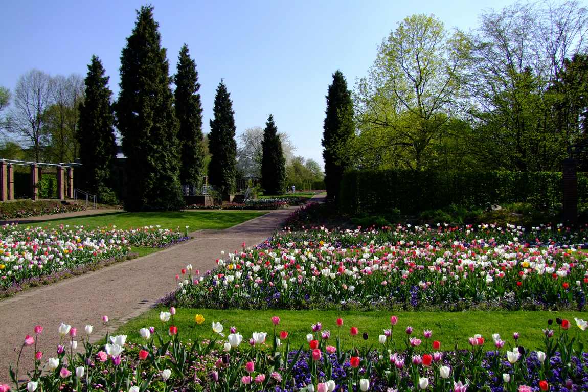 south park and mini zoo photo 1