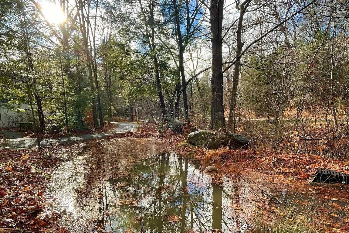 asheville botanical garden photo 1