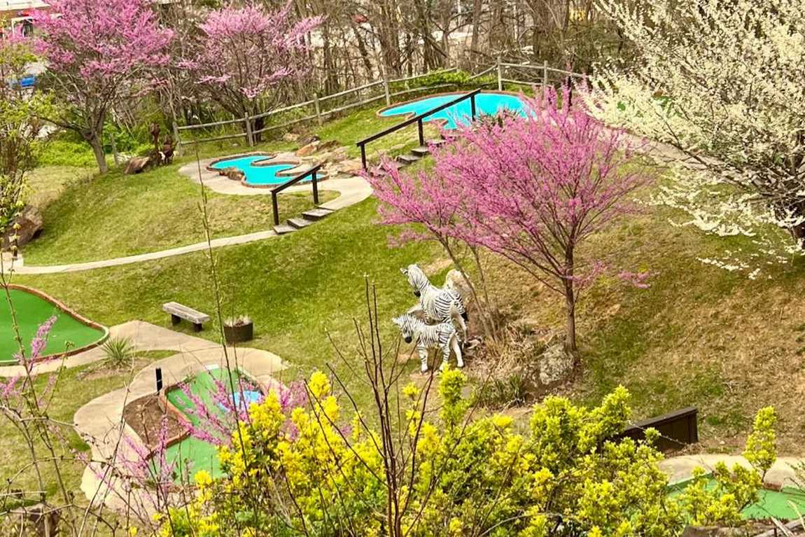 tropical gardens mini golf photo 3