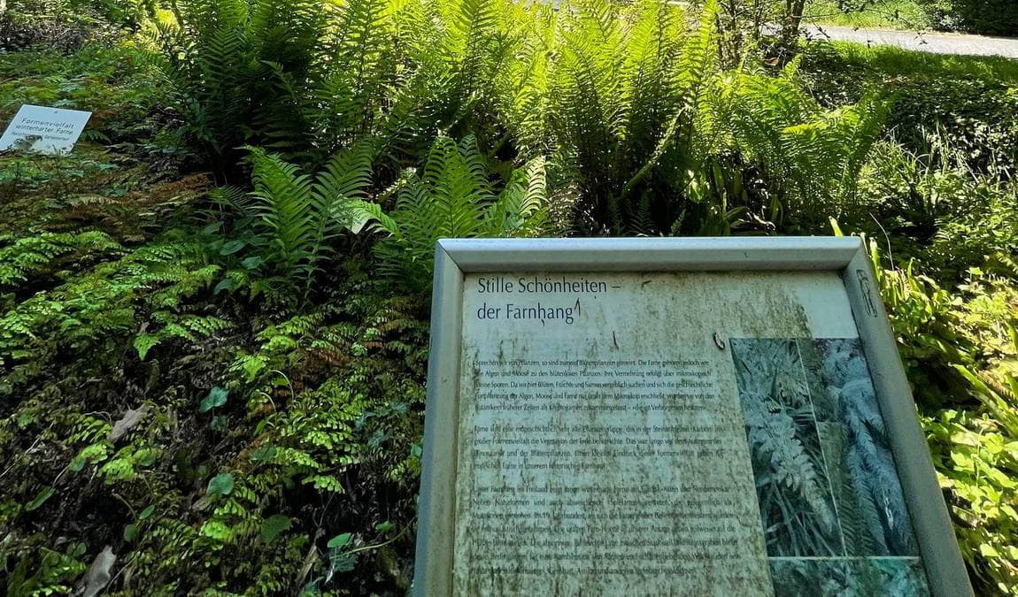 experimental botanical garden photo 5