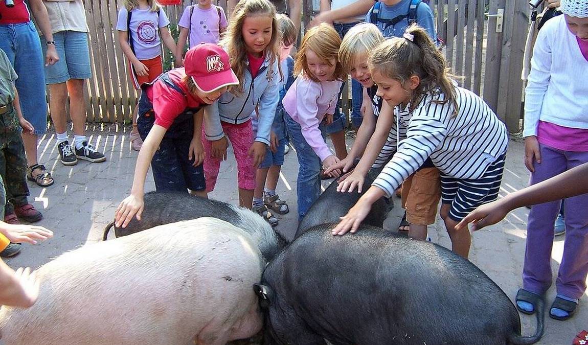 wildpark pforzheim photo 5