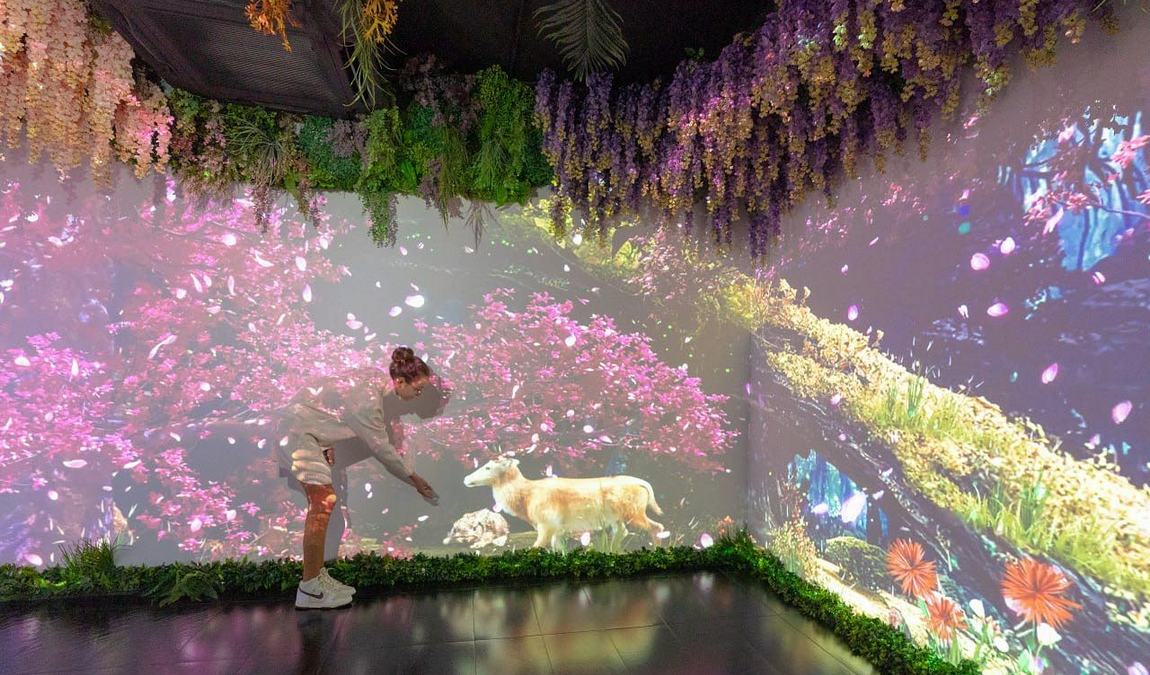 big fun museum в барселоне фото 1