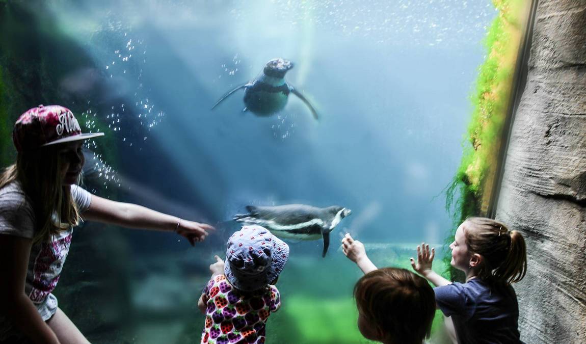 bremerhaven zoo photo 3