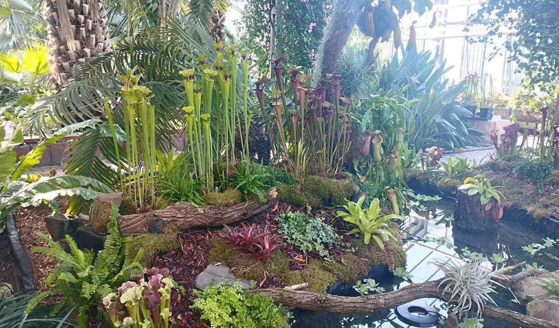 botanical garden - rosarium photo 4