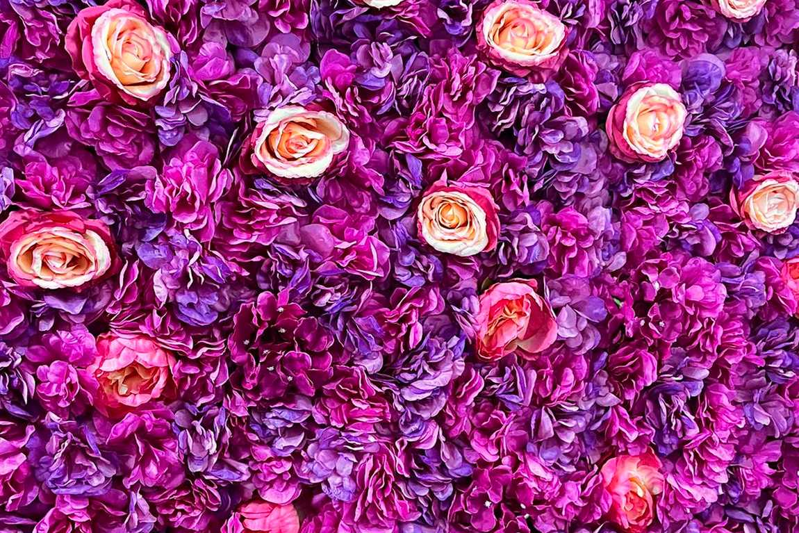 picture project clt selfie museum photo 2