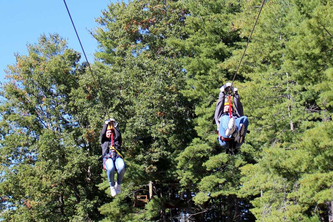 asheville treetops adventure park photo 6