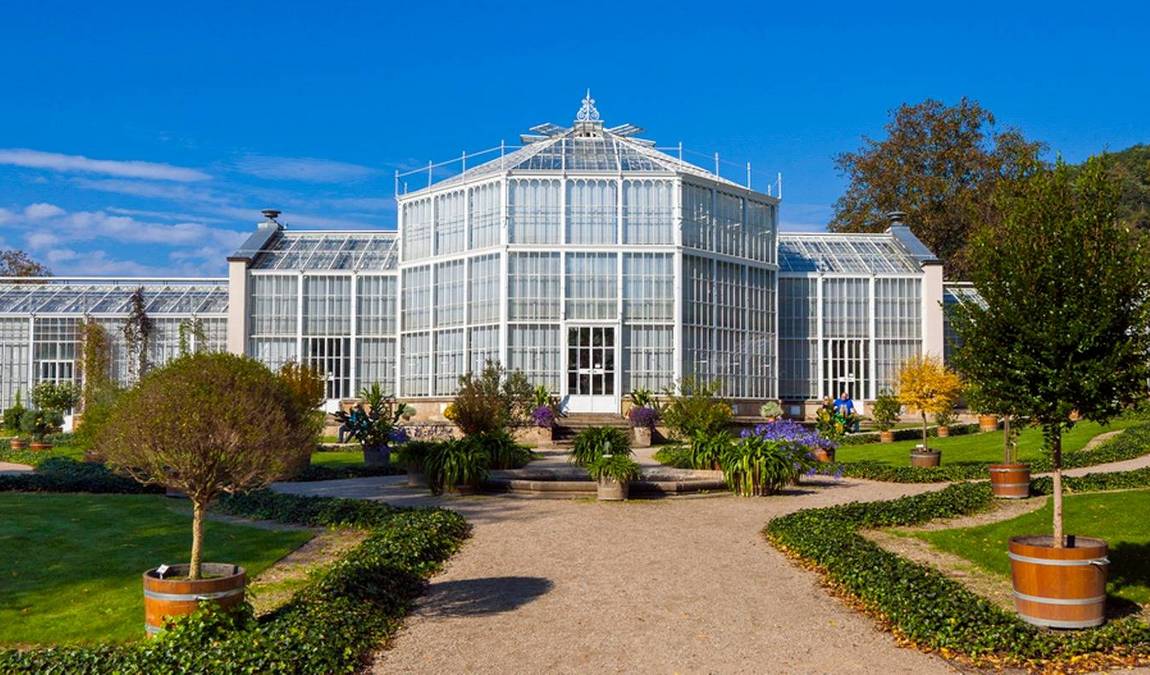 pillnitz castle photo 3